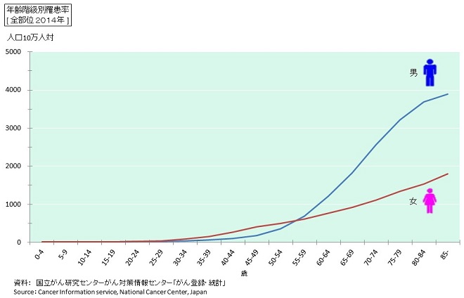 オプションの選び方講座 年代別で考えてみよう 府中クリニック